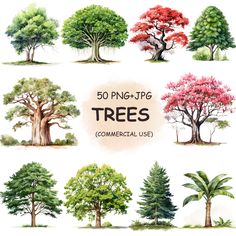 different types of trees with the words 50 png - ppg trees commercial use