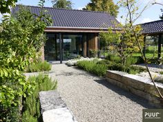 an outdoor garden area with gravel, rocks and plants in front of a house on a sunny day