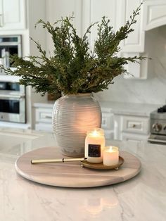 a candle is sitting on a plate with a plant in the middle and a lit candle next to it