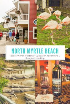 the north myrtle beach resort and wine tasting experience is featured in this collage