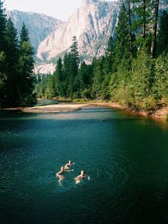 three people swimming in a lake surrounded by trees and mountains, with the sun shining on them