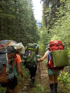 two people hiking in the woods with backpacks on their back and one person walking behind them