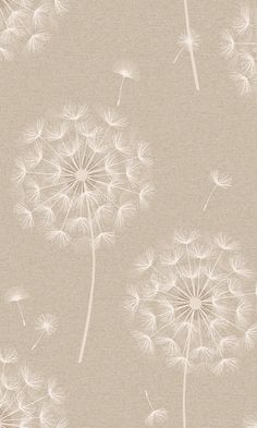 white dandelions blowing in the wind on a beige background