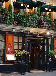 an outside view of a restaurant with flowers on the balcony and potted plants in front