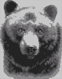 a black and white photo of a bear