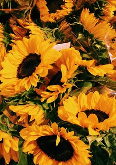 a bunch of sunflowers that are yellow and green