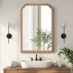 a bathroom with a sink, mirror and potted plant