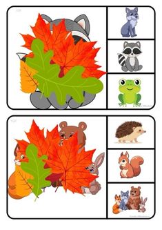 an image of animals and leaves on the same page