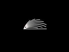 an open book on a black background with white lines in the shape of a wave