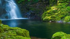 a waterfall with moss growing on the rocks and water running down it's sides