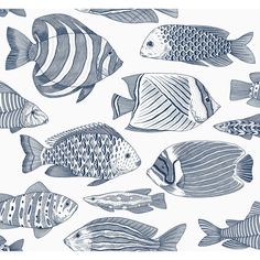 a group of fish swimming next to each other on a blue and white wallpaper