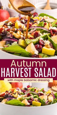 an autumn harvest salad with maple balsamic dressing