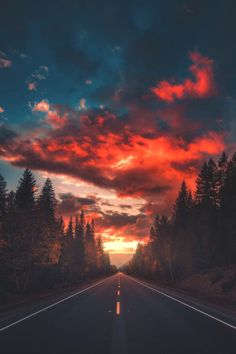 an empty road with trees on both sides and the sun setting in the distance behind it