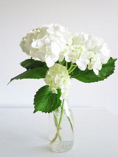 a vase filled with white flowers on top of a table