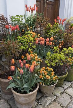 some potted plants with flowers in them and the words keep your container garden thriving all winter