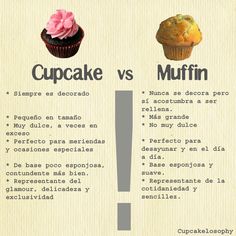 cupcakes vs muffin info graphic