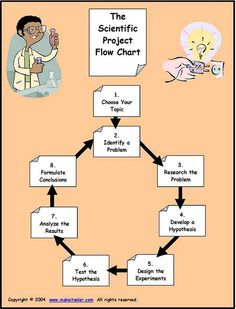 the scientific project flow chart is shown in black and white, with arrows pointing to each other