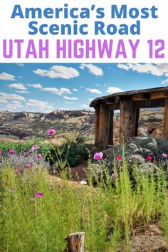 the cover of america's most scenic road utah highway 12, with wildflowers and