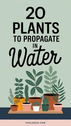 plants with the words 20 plants to propagate in water on top of them