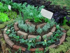 a garden with various plants and flowers in the center, surrounded by brick edgings