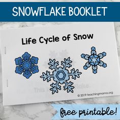 the snowflake booklet is on top of a marble table with text overlay