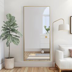 a white living room with a large mirror on the wall and a plant in front of it