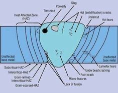 an image of a diagram of the inside of a cell phone with all its parts labeled