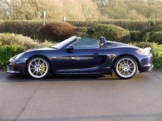 a blue sports car parked in front of bushes