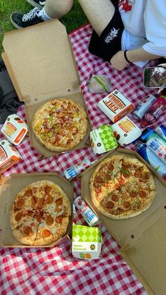 three pizzas sitting on top of a red and white checkered tablecloth covered picnic blanket