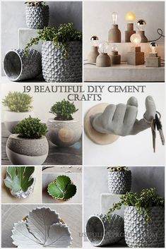 the different types of vases and plants are shown in this collage with text overlay