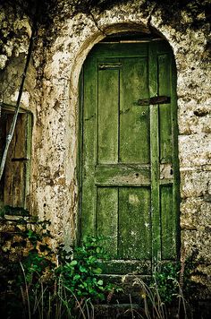 an old green door with vines growing around it