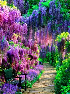 a bench sitting in the middle of a garden filled with lots of purple and green flowers