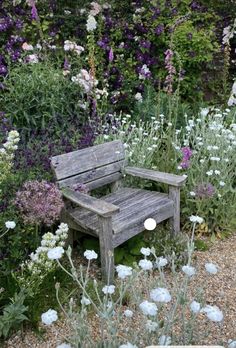 a wooden bench sitting in the middle of a garden filled with purple and white flowers