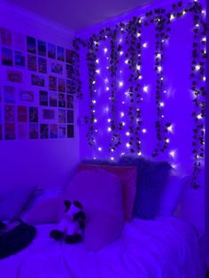 a cat laying on top of a bed in a room with purple lights hanging from the ceiling