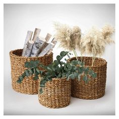 three woven baskets with plants in them