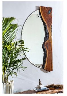 a mirror hanging on the wall next to a potted plant