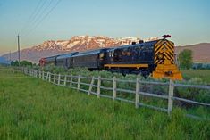 a train traveling down tracks next to a lush green field with mountains in the background