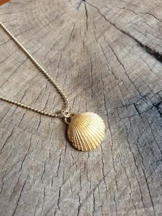 A sea shell necklace made of natural shells casted in brass and plated with quality, nickel free 14k gold plating.The necklace is made of 14k gold filled. Dainty Gold Shell Jewelry, Gold Shell Necklace With Ocean-inspired Style, Gold Shell Necklace Ocean-inspired, Gold Shell Ocean-inspired Necklace, Gold Ocean-inspired Shell Necklace, Ocean-inspired Gold Shell Charm Necklace, Dainty Gold Shell Charm Necklace, Dainty Gold Shell-shaped Necklace, Delicate Gold Necklace For Beach