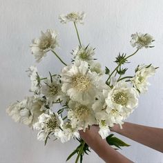 a person holding a bouquet of white flowers