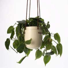 a white hanging planter filled with green leaves