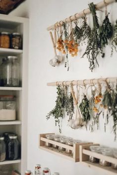 herbs hanging on the wall in a kitchen with spice jars and containers below them, along with other spices