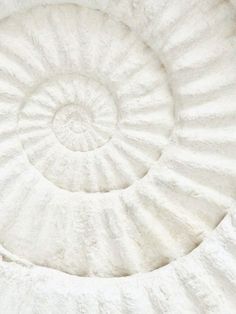 a close up view of the inside of a spirally shaped bed with white sheets