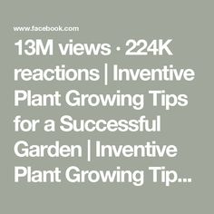 the text reads, 13m views 22k reactions / inventive plant growing tips for