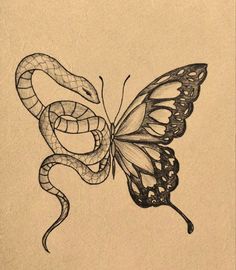 a drawing of a butterfly with a snake on it's back