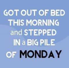 a blue poster with the words, got out of bed this morning and stepped in a big pile of monday