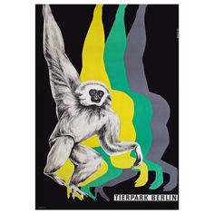 a poster with a monkey on it's back and the words terrark berlin