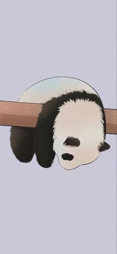 a panda bear is hanging upside down on a wooden pole with his head resting on the bar