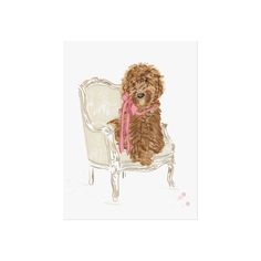 a brown dog sitting on top of a white chair with a pink scarf around it's neck