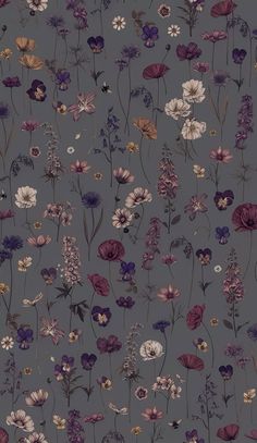 an image of a flower pattern on a gray wallpaper with purple and white flowers