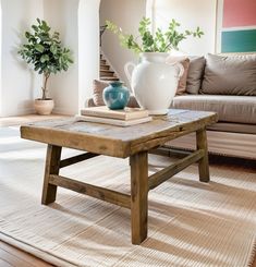 a living room with a couch, coffee table and potted plants on top of it